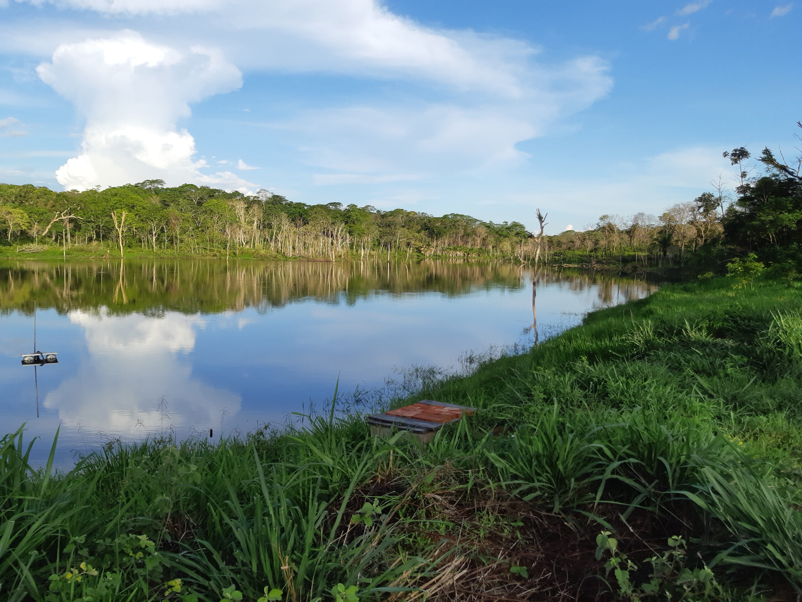 El bosque de 1.200 hectáreas que provee de agua a La Asunta