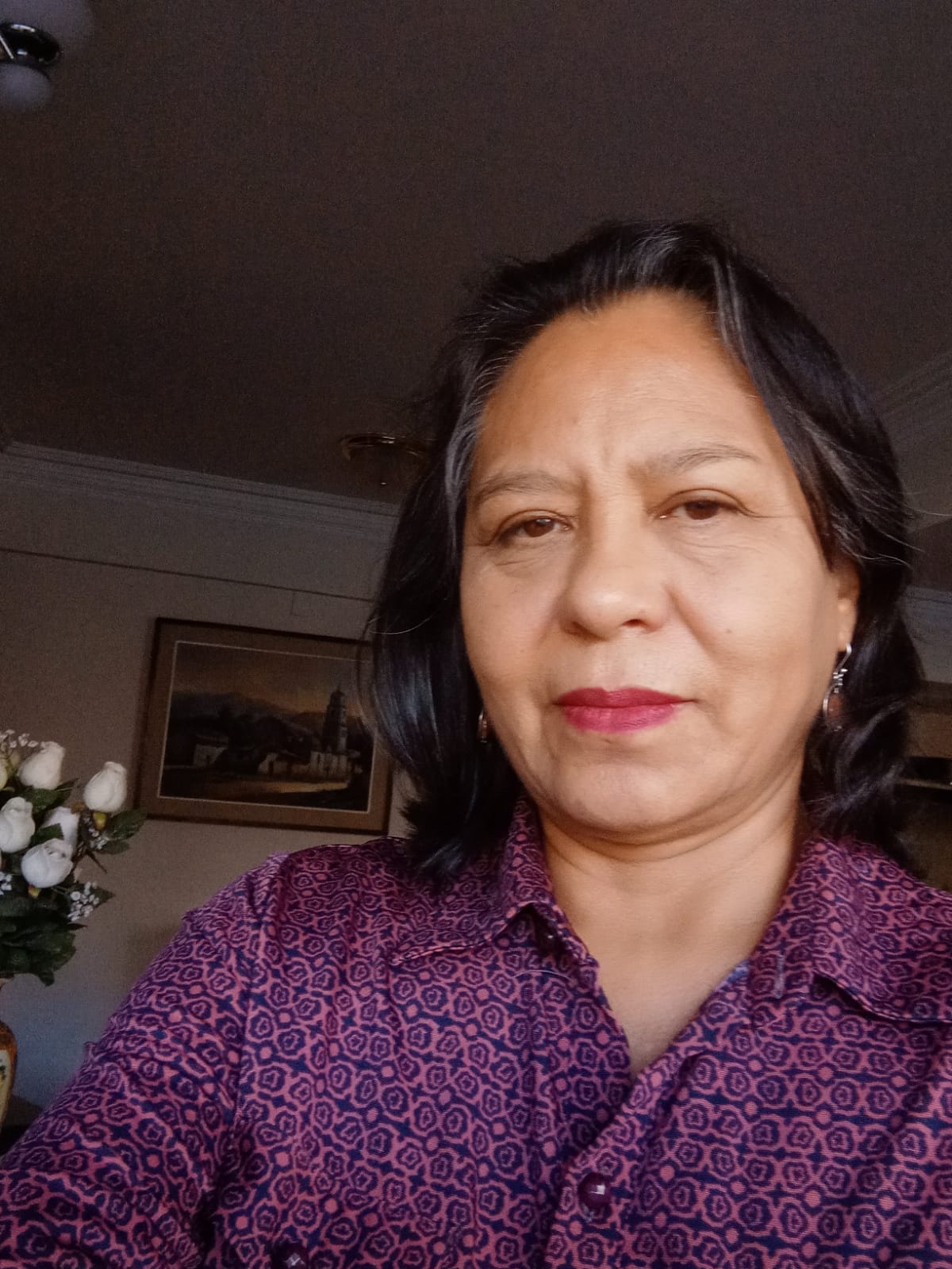 María Luisa Mercado Castro es periodista independiente. Trabajó más de 26 años como reportera y editora en el diario Opinión de Cochabamba. Escribe reportajes sobre Derechos Humanos y cultura de paz. Obtuvo una mención honorífica en el concurso “Sin censura previa» de Unitas en 2019.