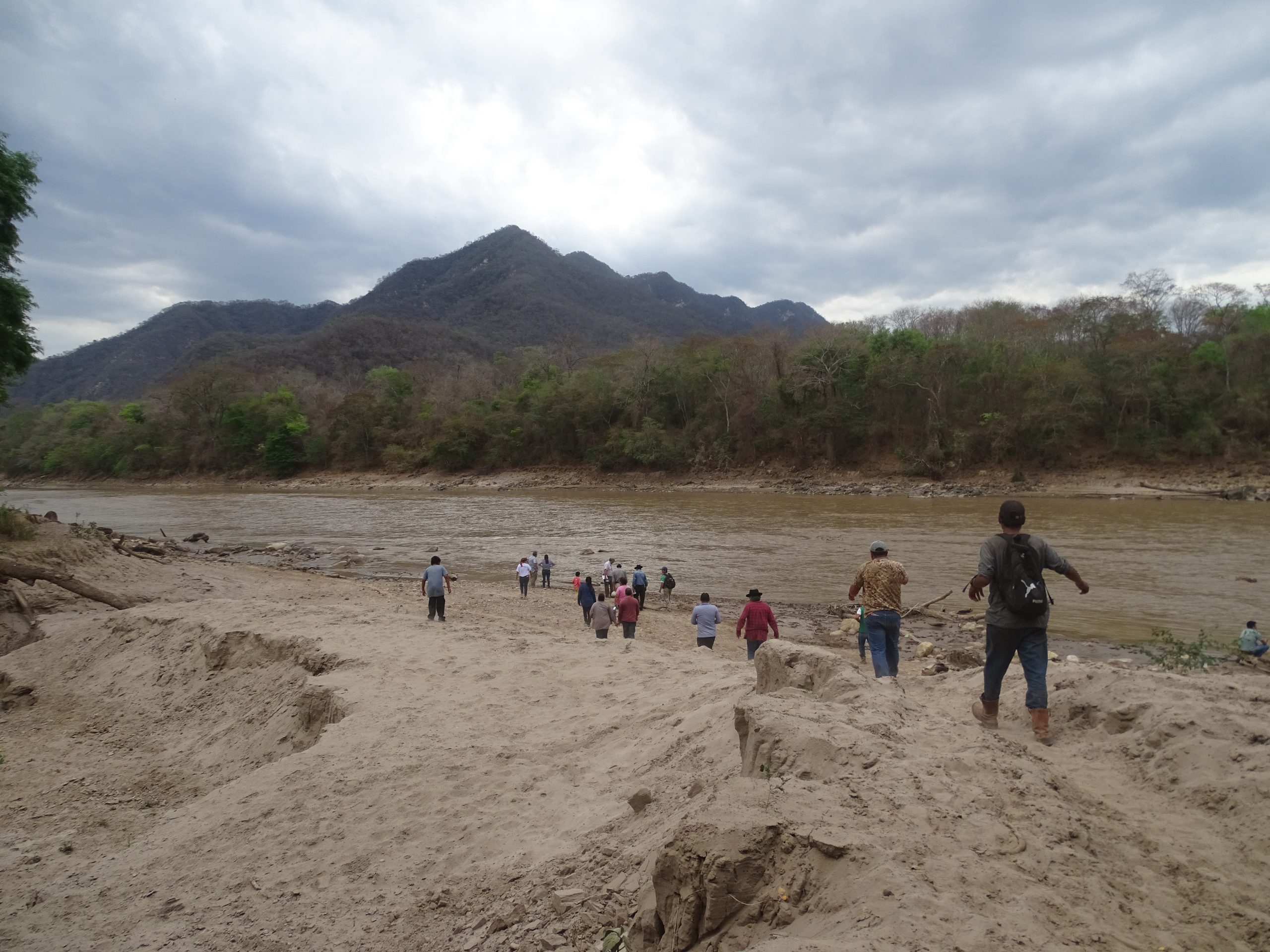 Rositas: el proyecto millonario que tensiona a comunidades guaraníes
