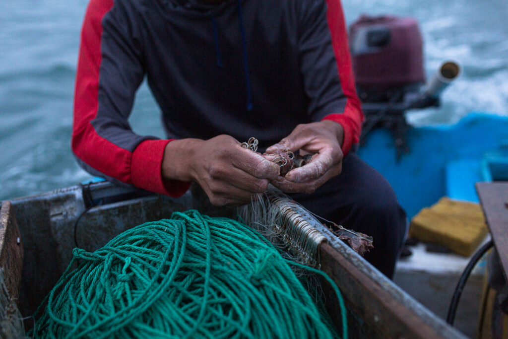 Comprar Pesca en USA desde Ecuador