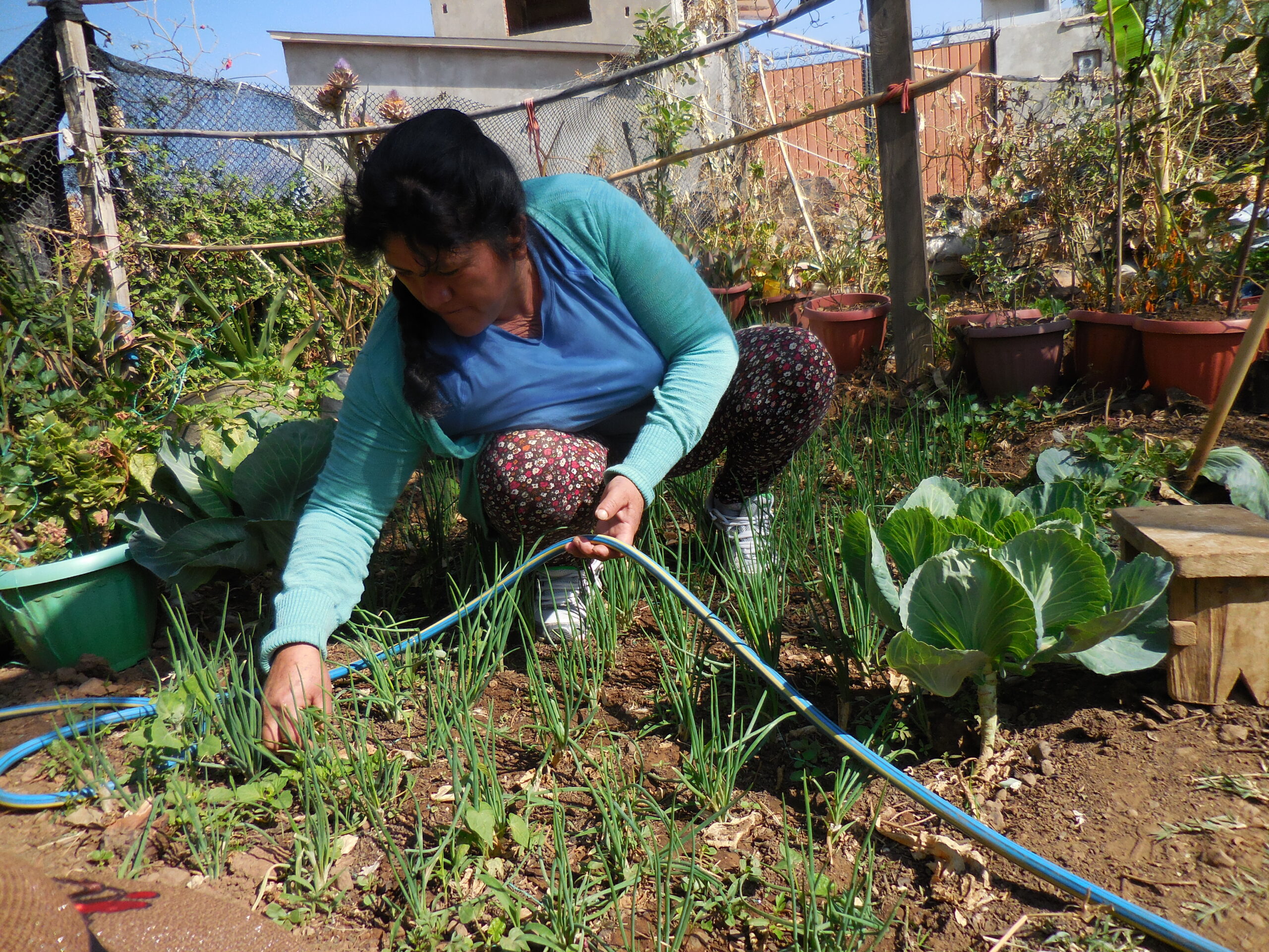 Mujeres luchan por la soberanía alimentaria con huertos periurbanos