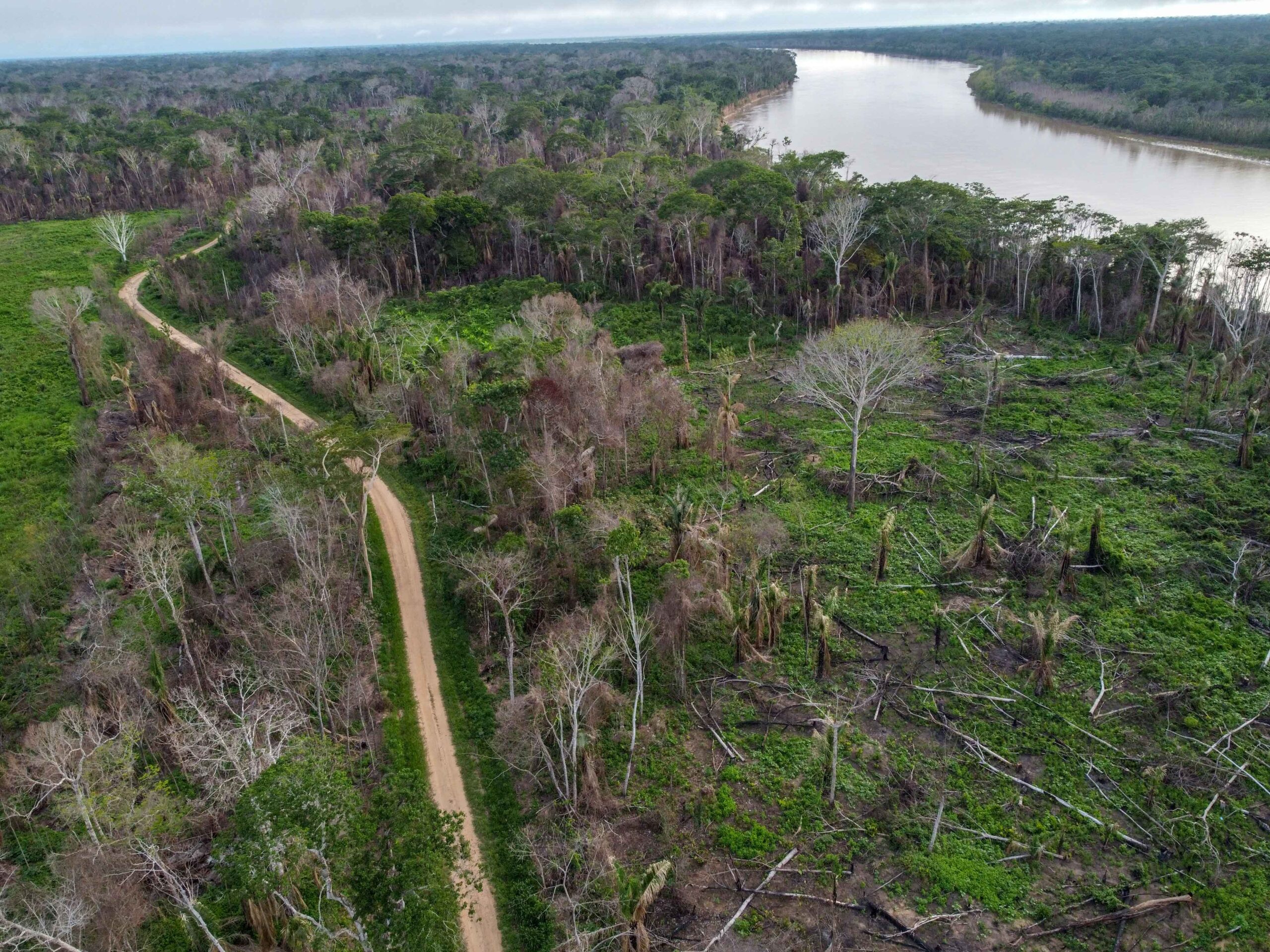 Incendios en la Amazonía dejan un bosque devastado, escasez de alimentos e indígenas atemorizados