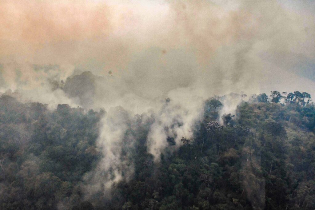 os incendios en la Amazonía dejan a un bosque devastado, escasez de alimentos e indígenas atemorizados