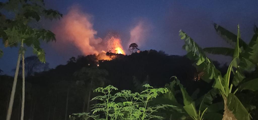 os incendios en la Amazonía dejan a un bosque devastado, escasez de alimentos e indígenas atemorizados