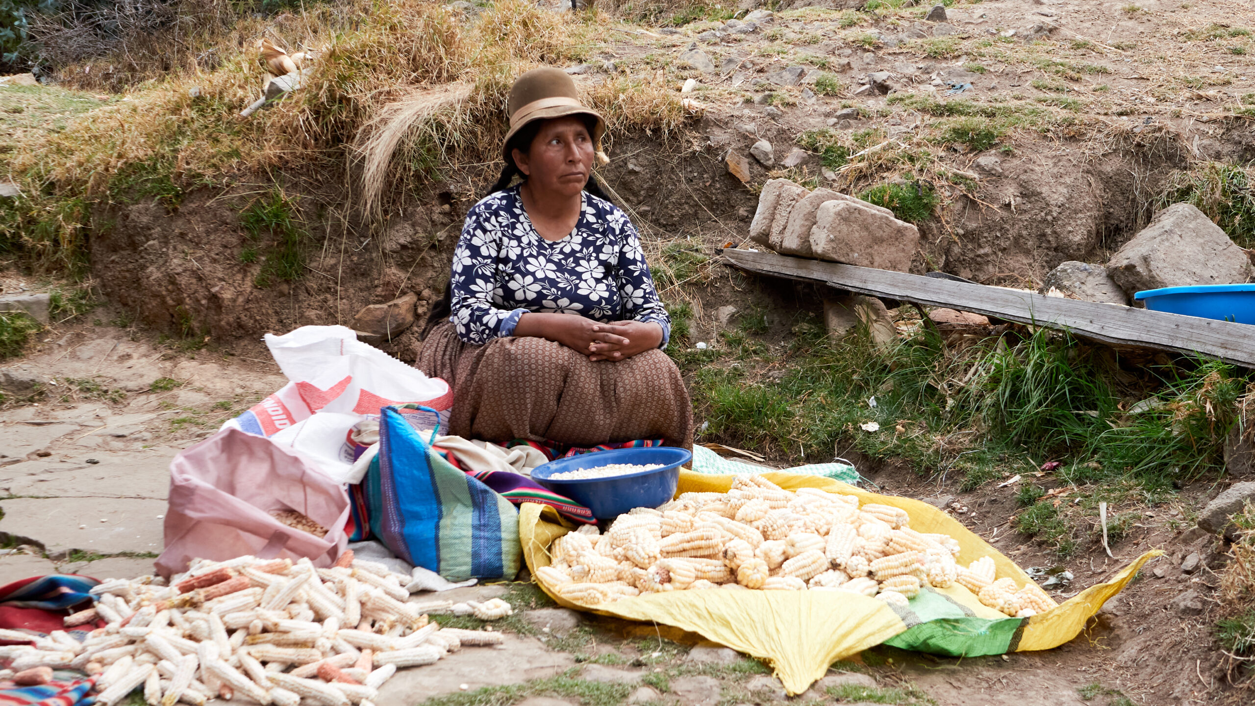 Ante la crisis climática, productoras preservan el maíz nativo con terrazas prehispánicas y riego manual