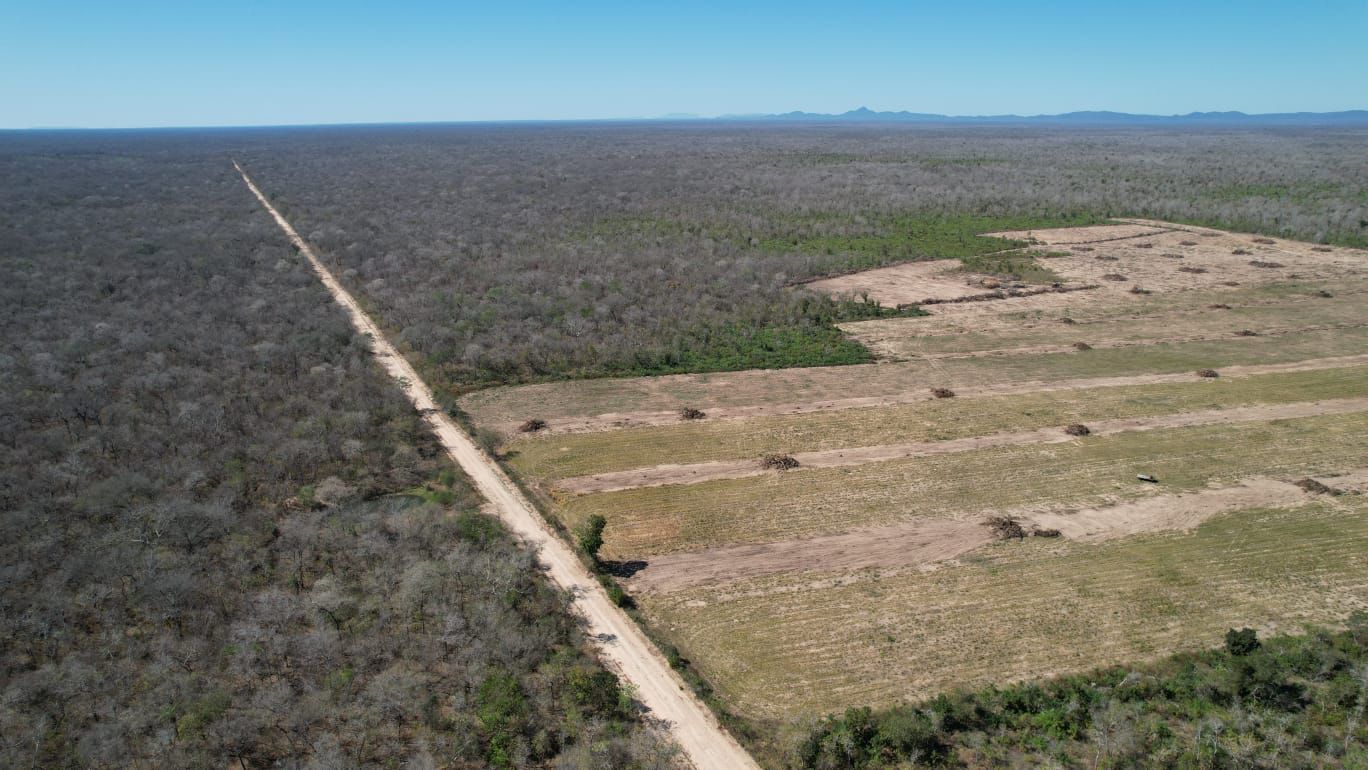 Verificación: En 10 años, la frontera de soya se amplió más de lo que la Anapo informa