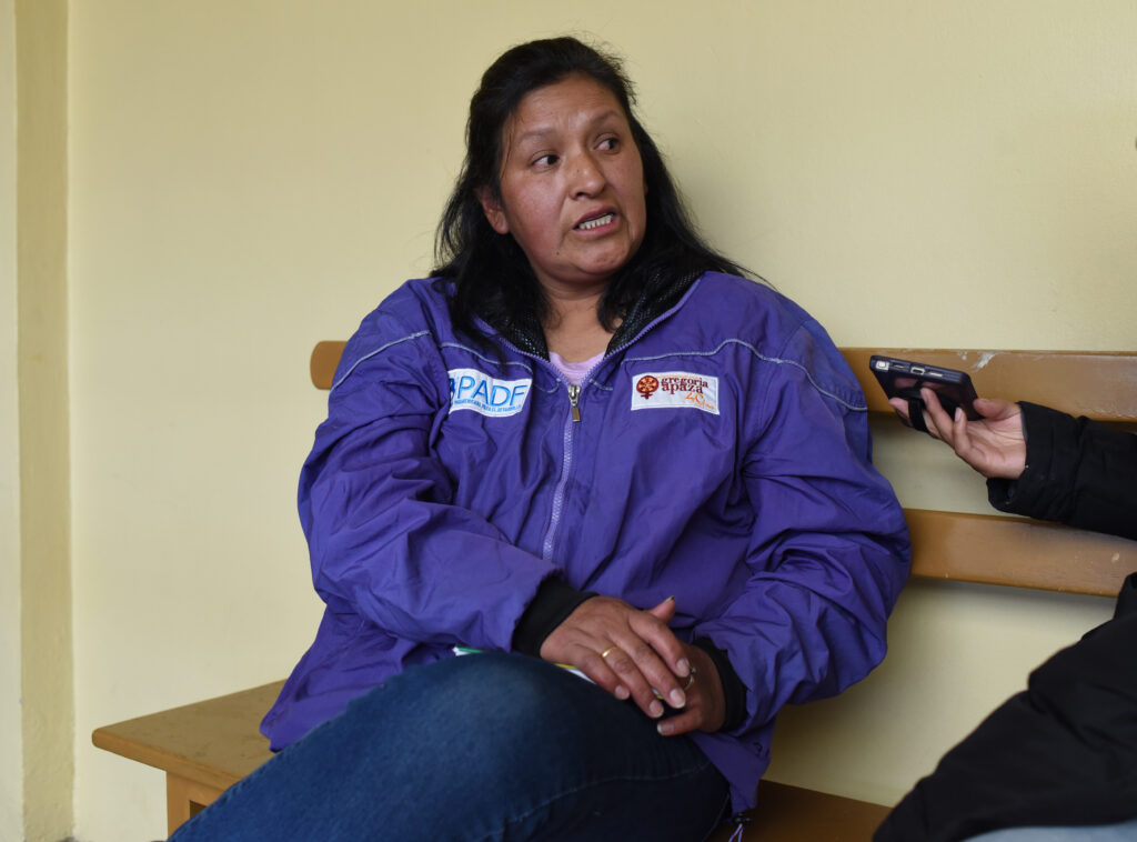 Dominga Quispe Quispe